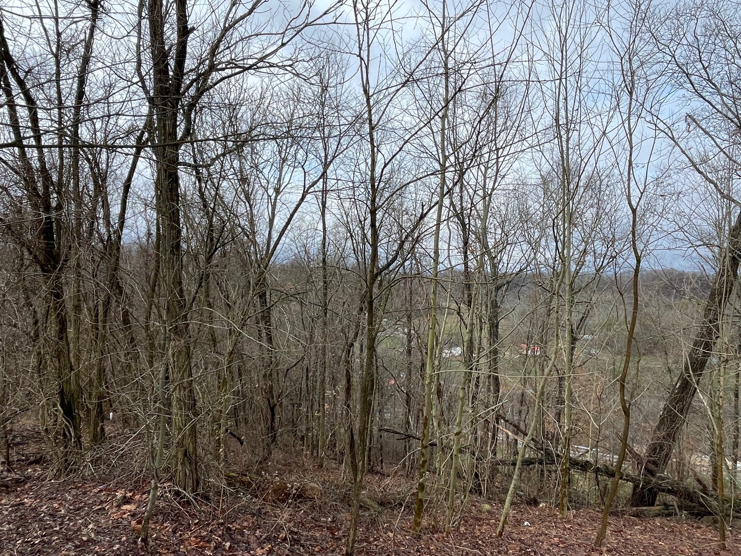 Image for SOLD $34,100 - 7 Prime Acres in Nitro’s Ridgefield Estates