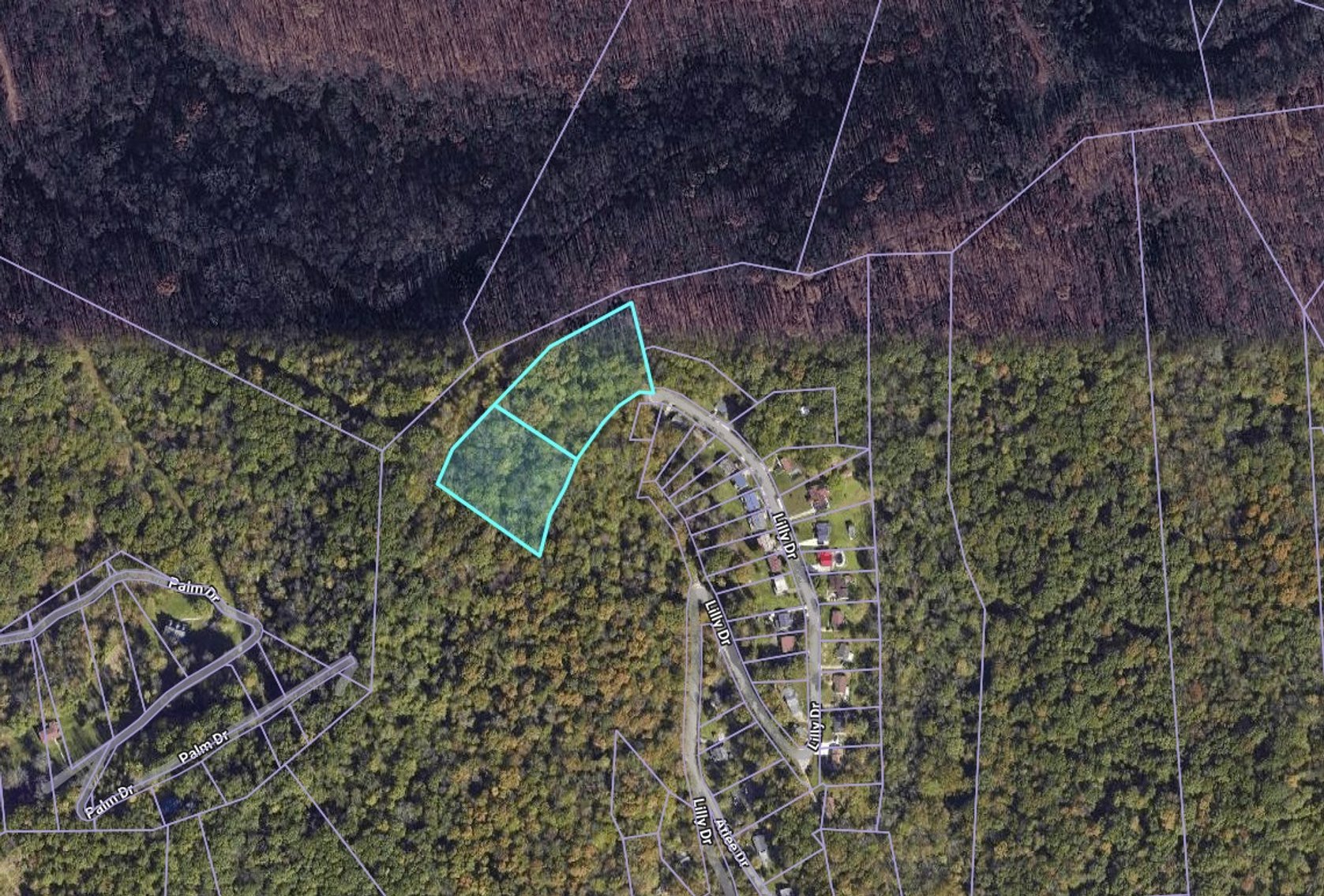 Image for SOLD $14,850 - 4.8 Mountain Top Acres in North Charleston