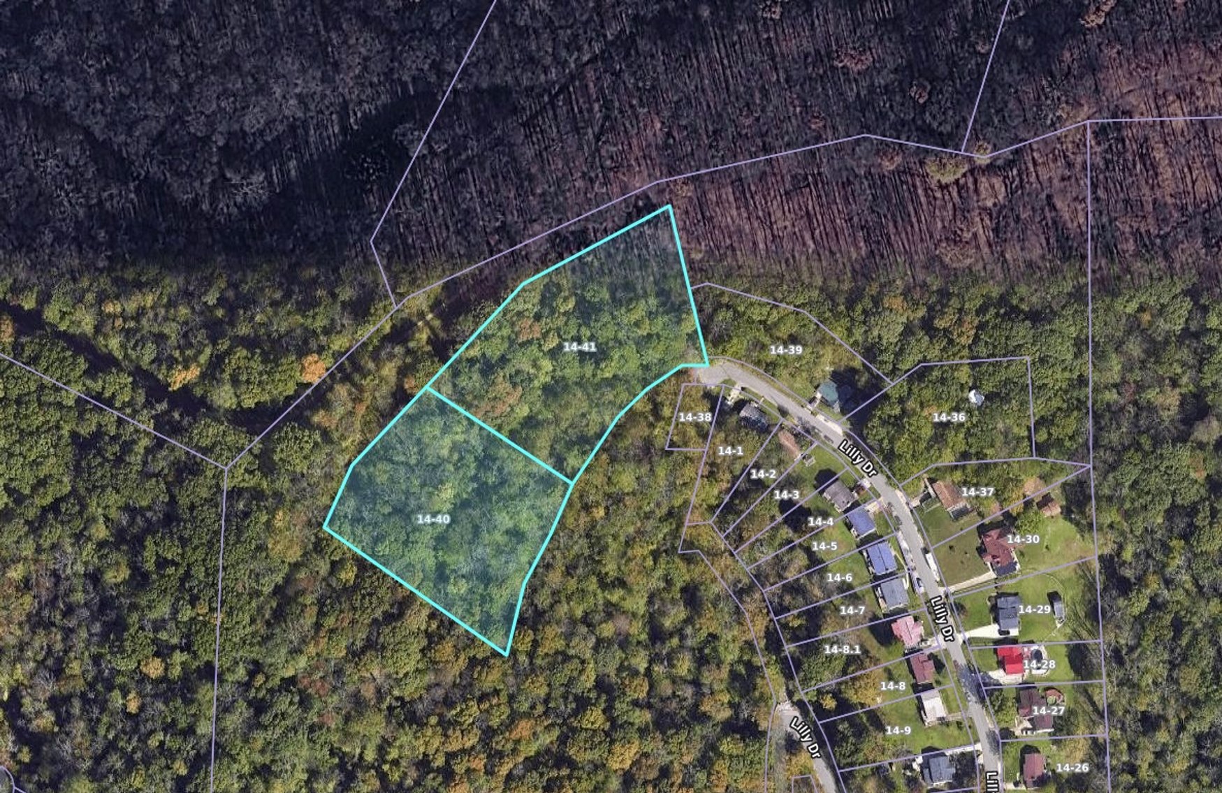 Image for SOLD $14,850 - 4.8 Mountain Top Acres in North Charleston