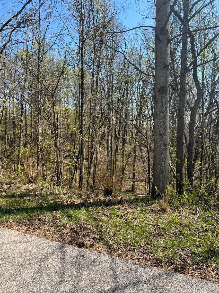 Image for SOLD $19,800 - Nearly 4.5 Acre Lot in the Established Whispering Woods Subdivision