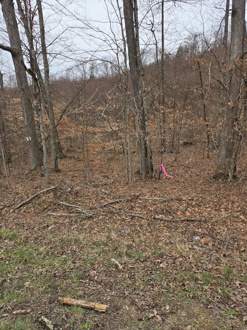 Image for 5 Surveyed Acres in Fayette County