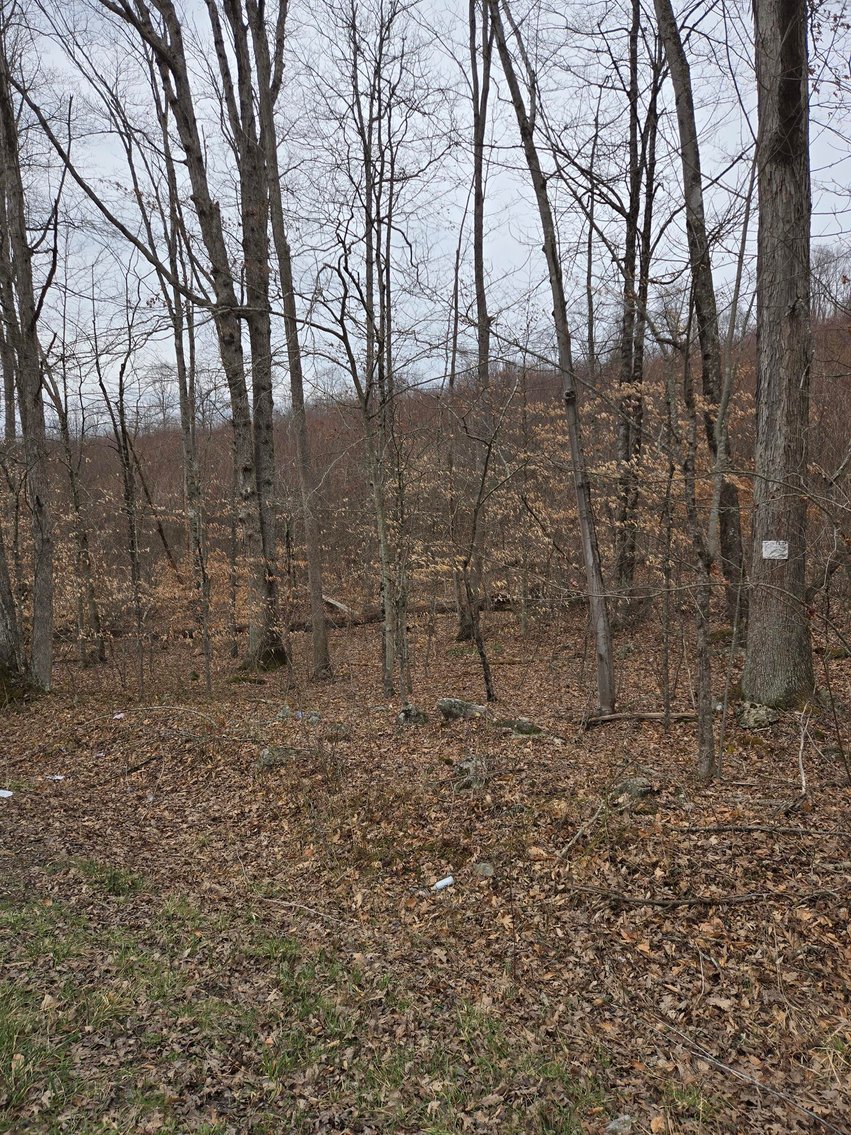 Image for 5 Surveyed Acres in Fayette County