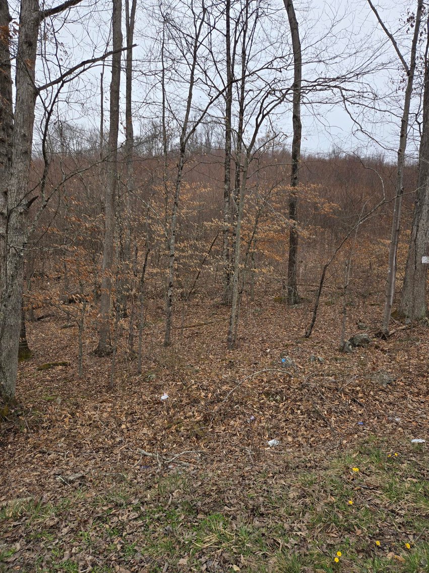 Image for 5 Surveyed Acres in Fayette County