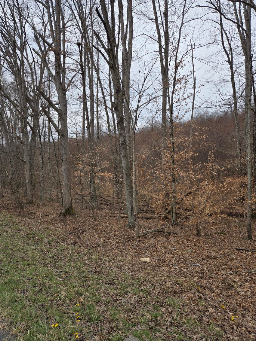 Image for 5 Surveyed Acres in Fayette County