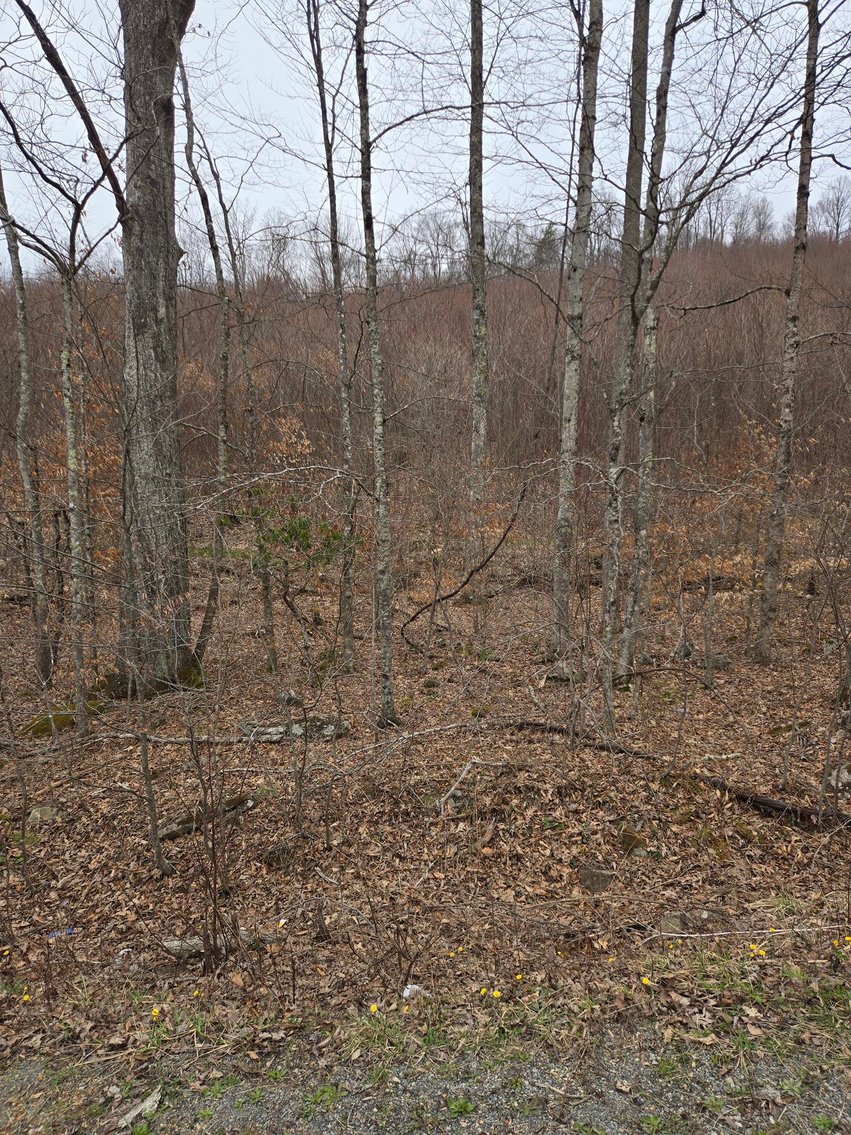 Image for 5 Surveyed Acres in Fayette County