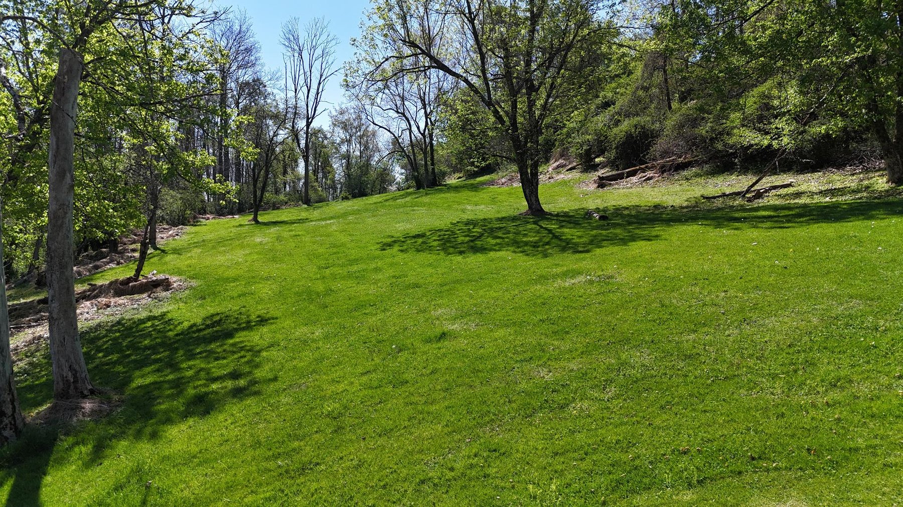 Image for Two 5+ Acre Tracts in Fairmont for Residential Development