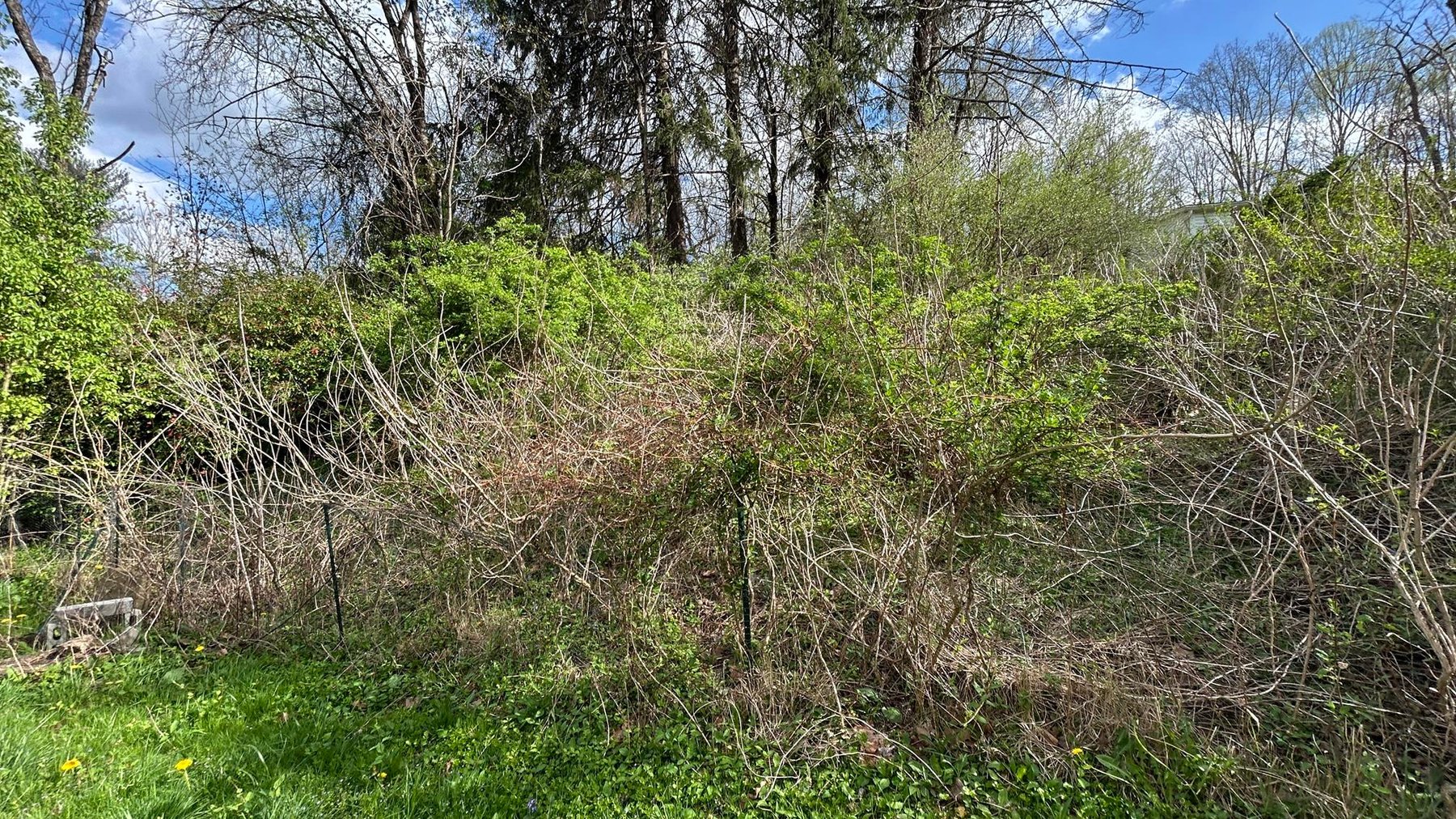 Image for 3 Bedroom Fixer Upper on Sun Valley Road Selling to the Highest Bidder