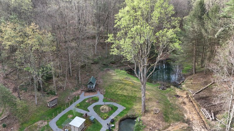 Image for 22 Acres with a Remodeled 19th Century 3 Bedroom Cabin in Harrison County