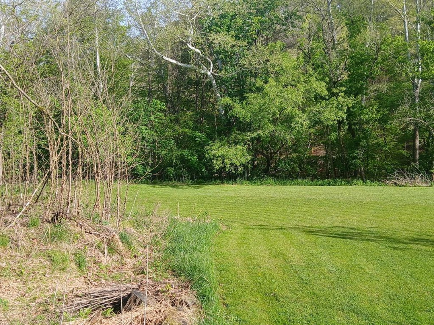 Image for Spacious 4 Bedroom on Over 8 Acres in Roane County