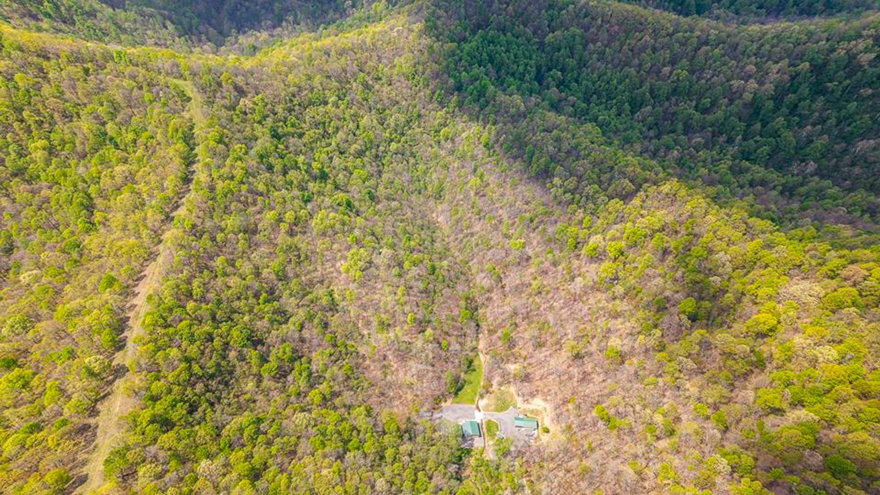 Image for Impressive Cabin with Guest House on 46 Acres in Harrison County