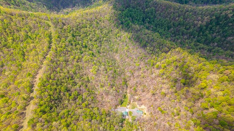 Image for Impressive Cabin with Guest House on 46 Acres in Harrison County