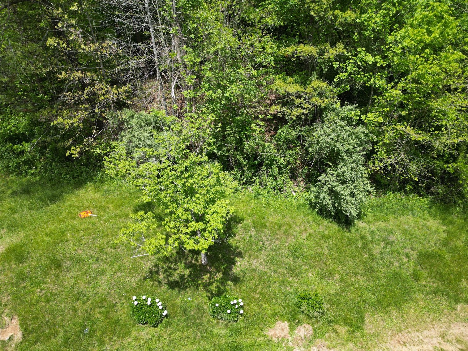 Image for Spacious Project Home on Half an Acre in Wayne County