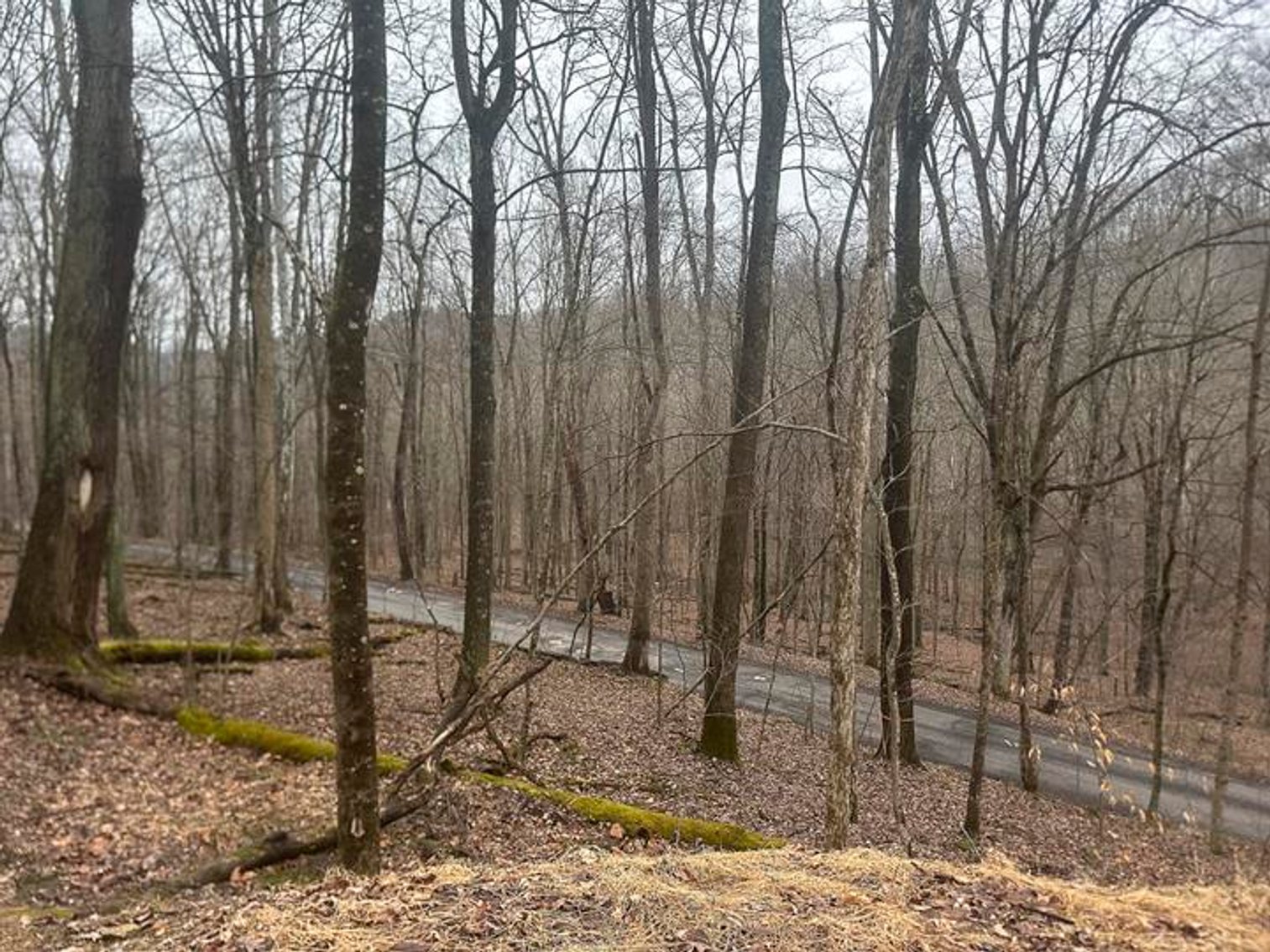 Image for 9 ½ Acres off Grafton Road in Morgantown