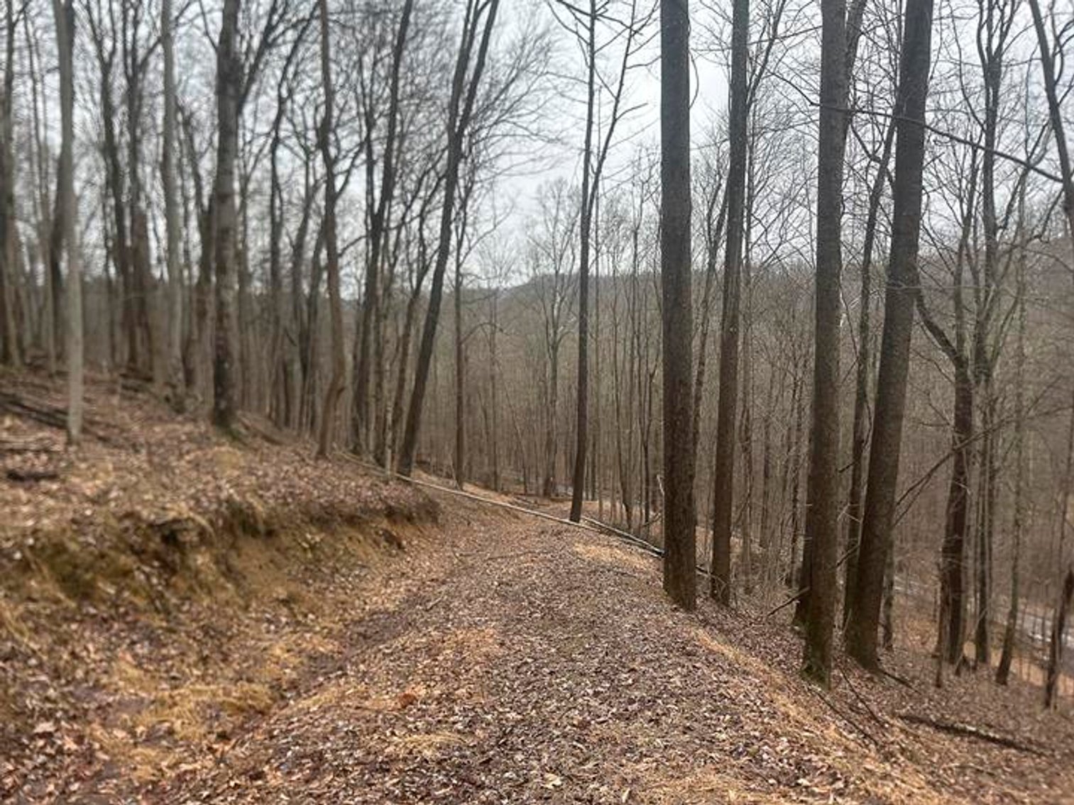 Image for 9 ½ Acres off Grafton Road in Morgantown