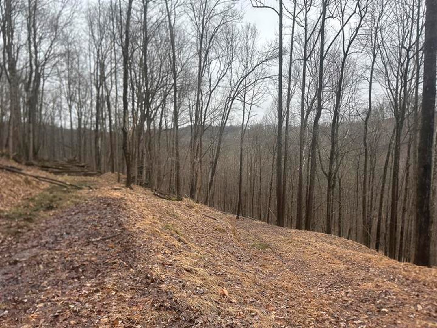 Image for 9 ½ Acres off Grafton Road in Morgantown