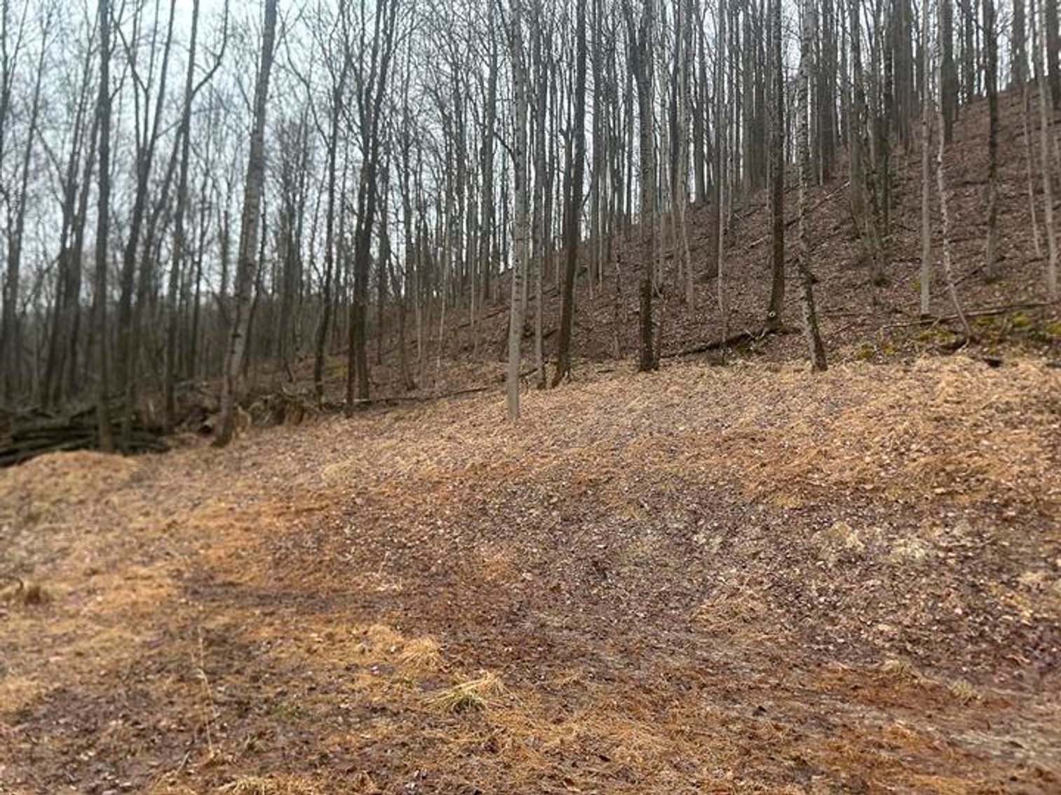 Image for 9 ½ Acres off Grafton Road in Morgantown