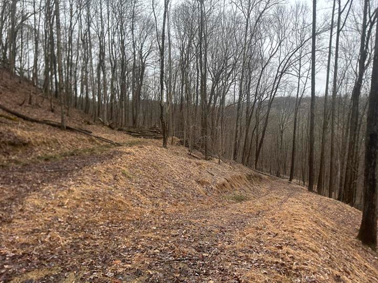 Image for 9 ½ Acres off Grafton Road in Morgantown