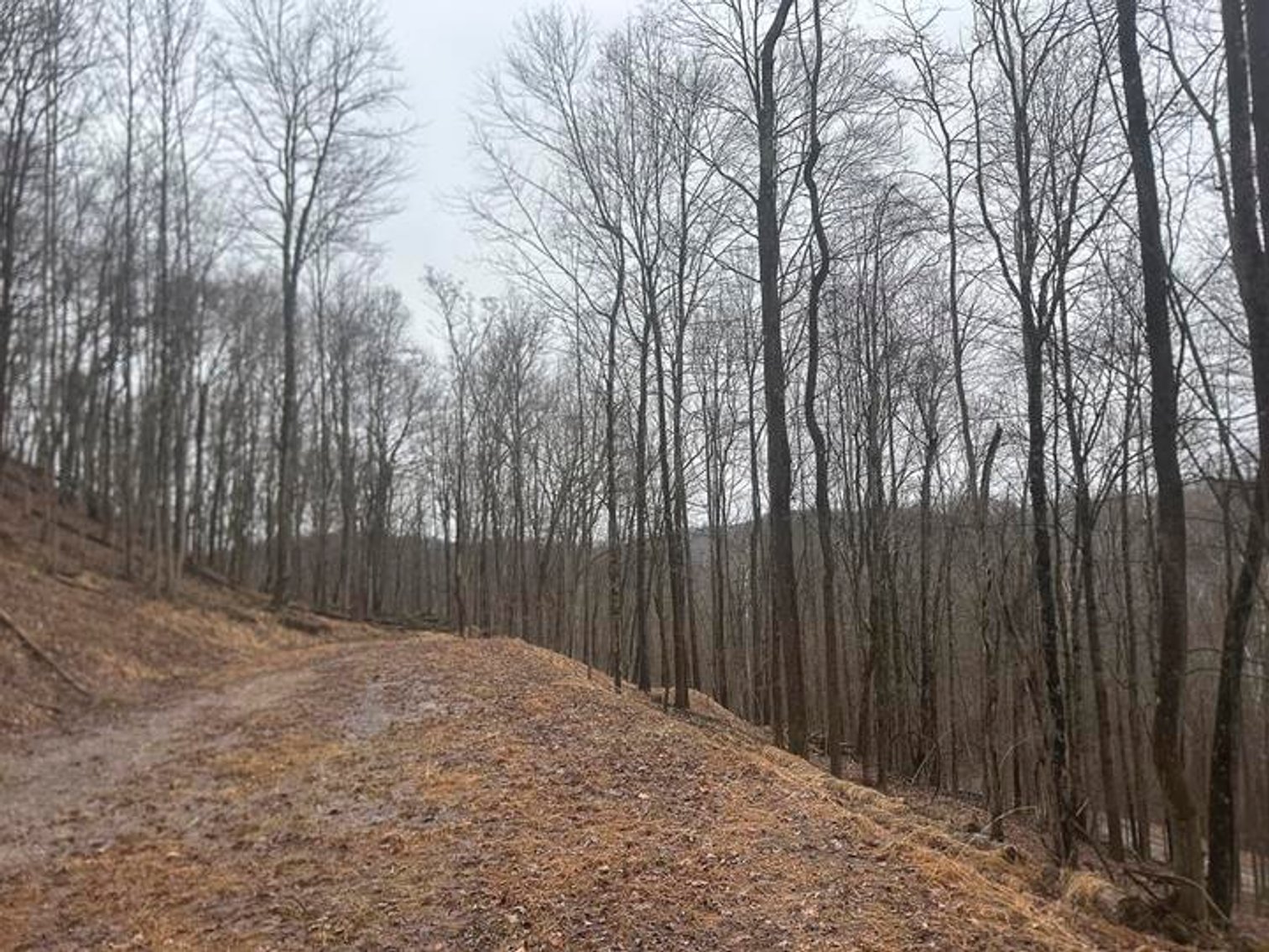 Image for 9 ½ Acres off Grafton Road in Morgantown