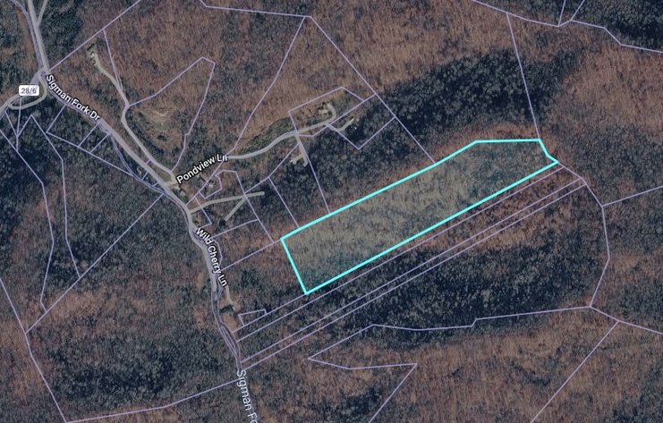 Image for 19 Recreational Acres near Charleston with Streams, Trails, & Wildlife
