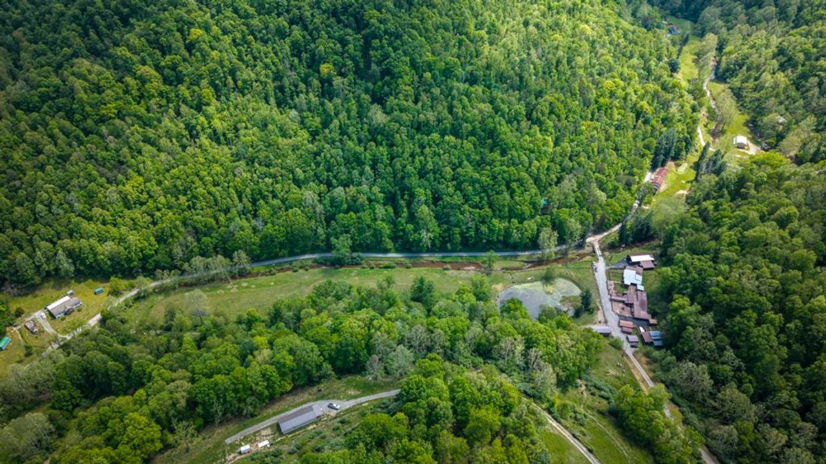 Image for West Virginia Sportsman’s Retreat on 29.5 Acres