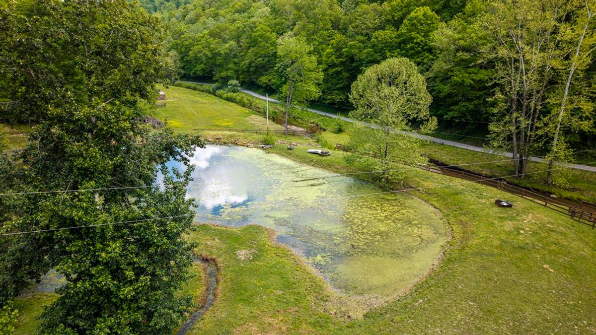 Image for West Virginia Sportsman’s Retreat on 29.5 Acres