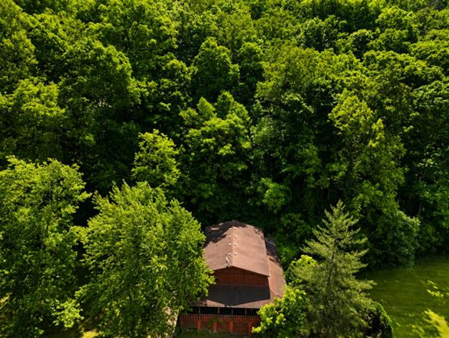 Image for Secluded 4 Bedroom Cabin on 7.7 Acres in Wayne County