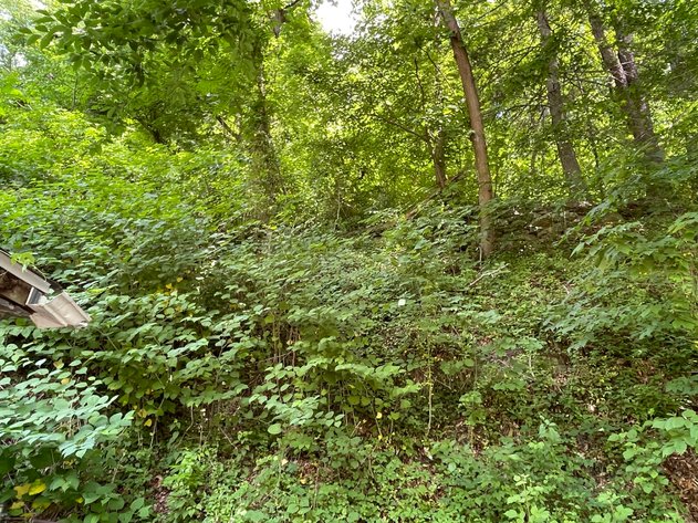 Image for Project Home on 2 Lots in Kanawha City Selling to the Highest Bidder