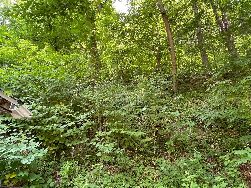 Image for Project Home on 2 Lots in Kanawha City Selling to the Highest Bidder