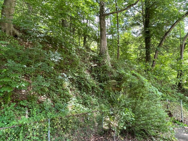 Image for Project Home on 2 Lots in Kanawha City Selling to the Highest Bidder