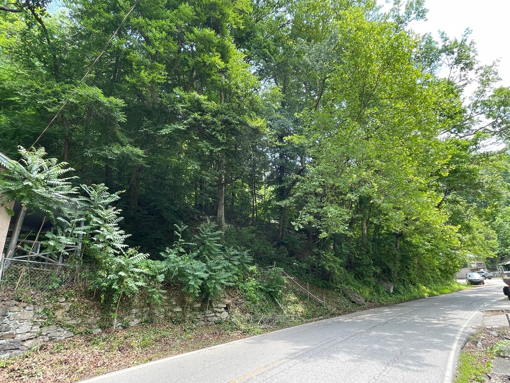 Image for Project Home on 2 Lots in Kanawha City Selling to the Highest Bidder