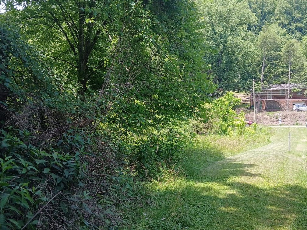Image for Residential Lot in Charleston Selling to the Highest Bidder
