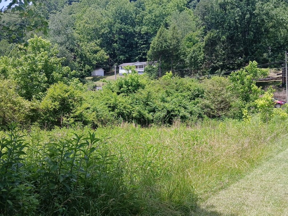 Image for Residential Lot in Charleston Selling to the Highest Bidder