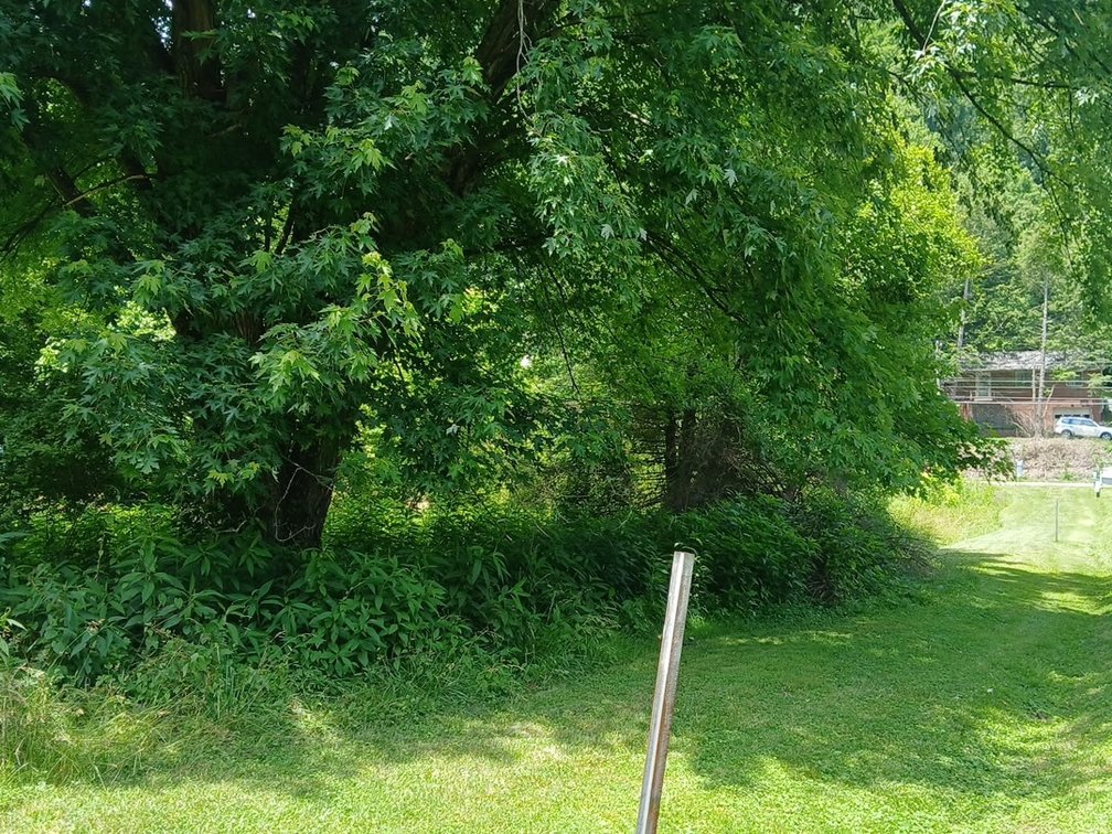 Image for Residential Lot in Charleston Selling to the Highest Bidder
