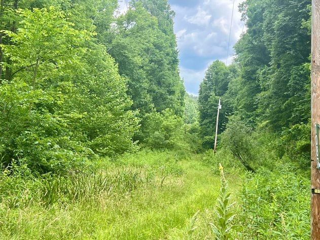 Image for Nearly 16 Acres in Jackson County