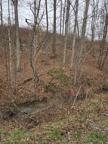 Image for 5 Surveyed Acres in Fayette County