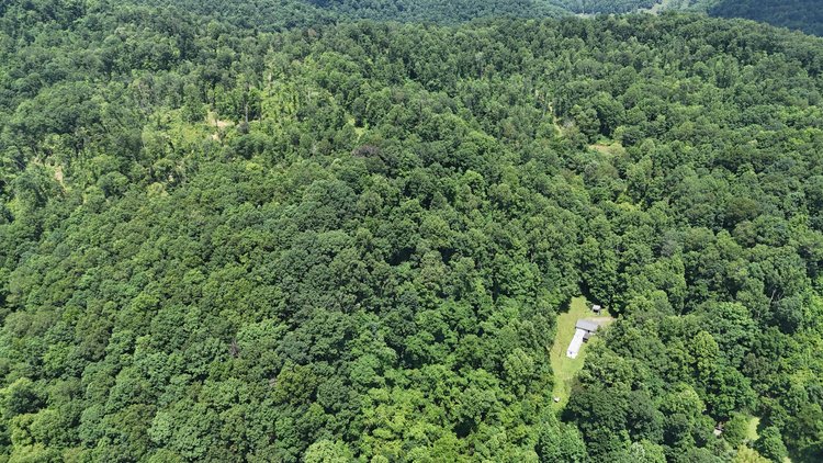 Image for Over 95 Acres with a Homesite in Harrison County