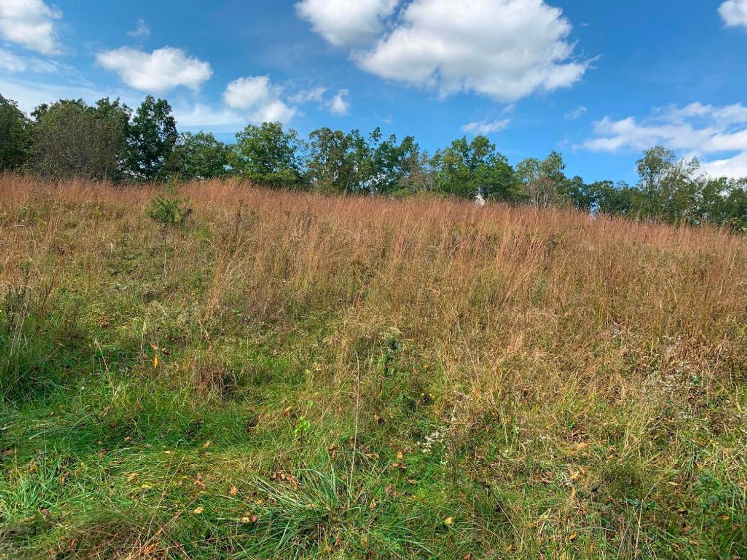 Image for Multiple Properties in Basswood Subdivision