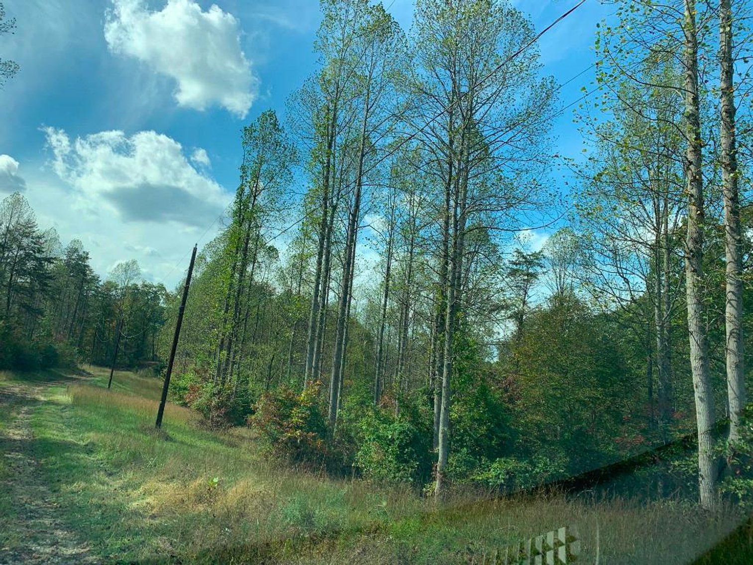 Image for Multiple Properties in Basswood Subdivision
