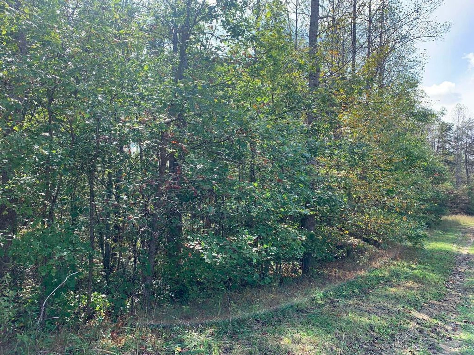 Image for Multiple Properties in Basswood Subdivision