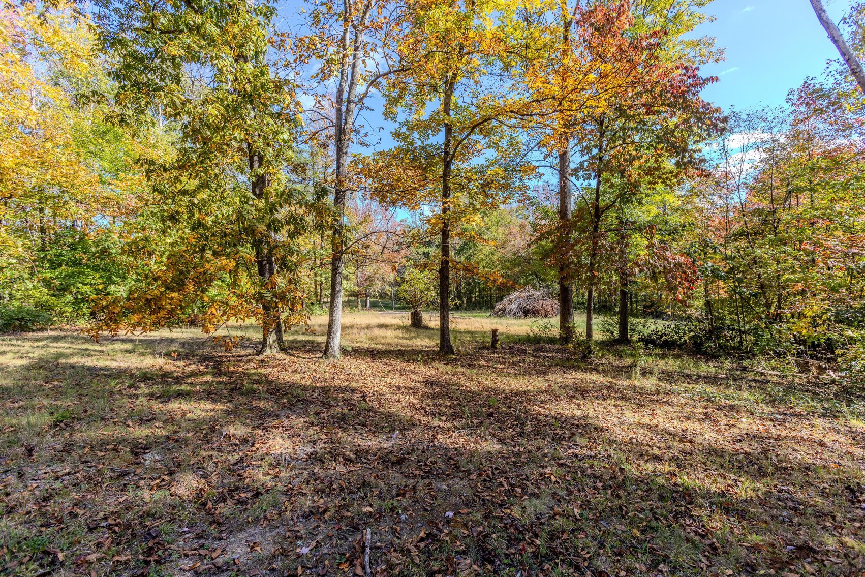 Image for SOLD $93,500 - 13 Acres Adjacent to the New River Gorge