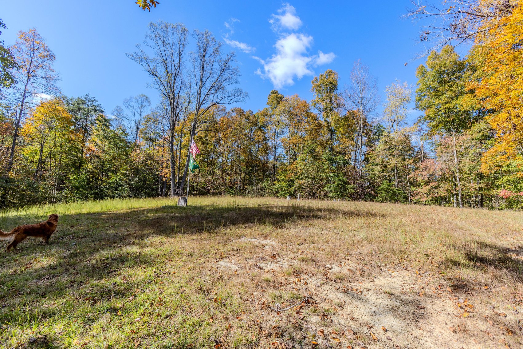 Image for SOLD $93,500 - 13 Acres Adjacent to the New River Gorge