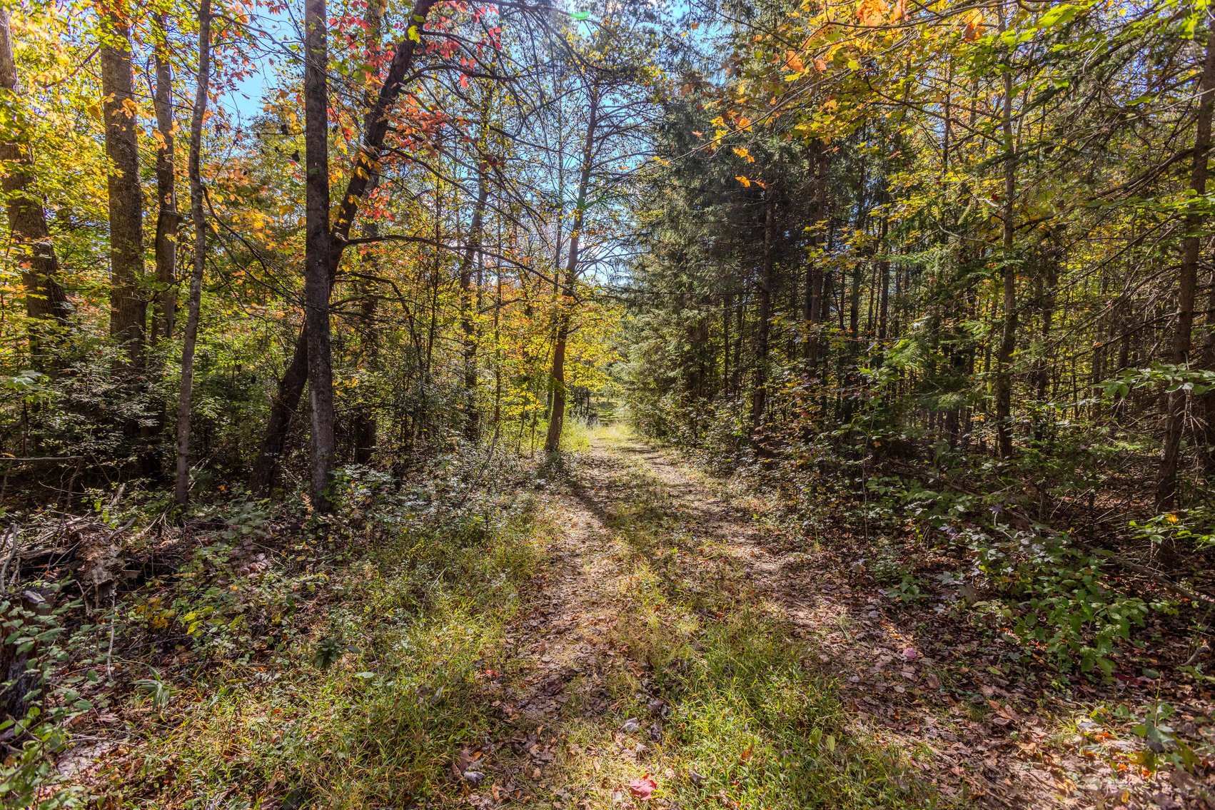 Image for SOLD $93,500 - 13 Acres Adjacent to the New River Gorge
