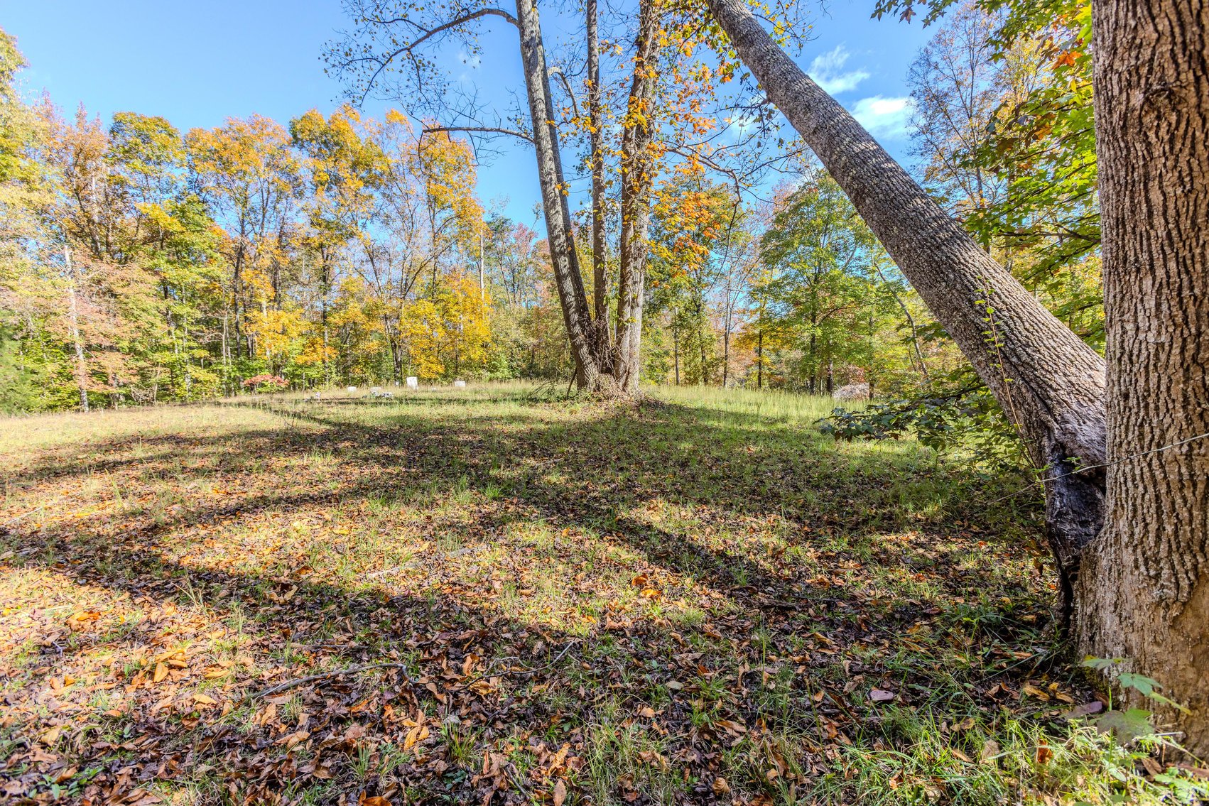 Image for SOLD $93,500 - 13 Acres Adjacent to the New River Gorge