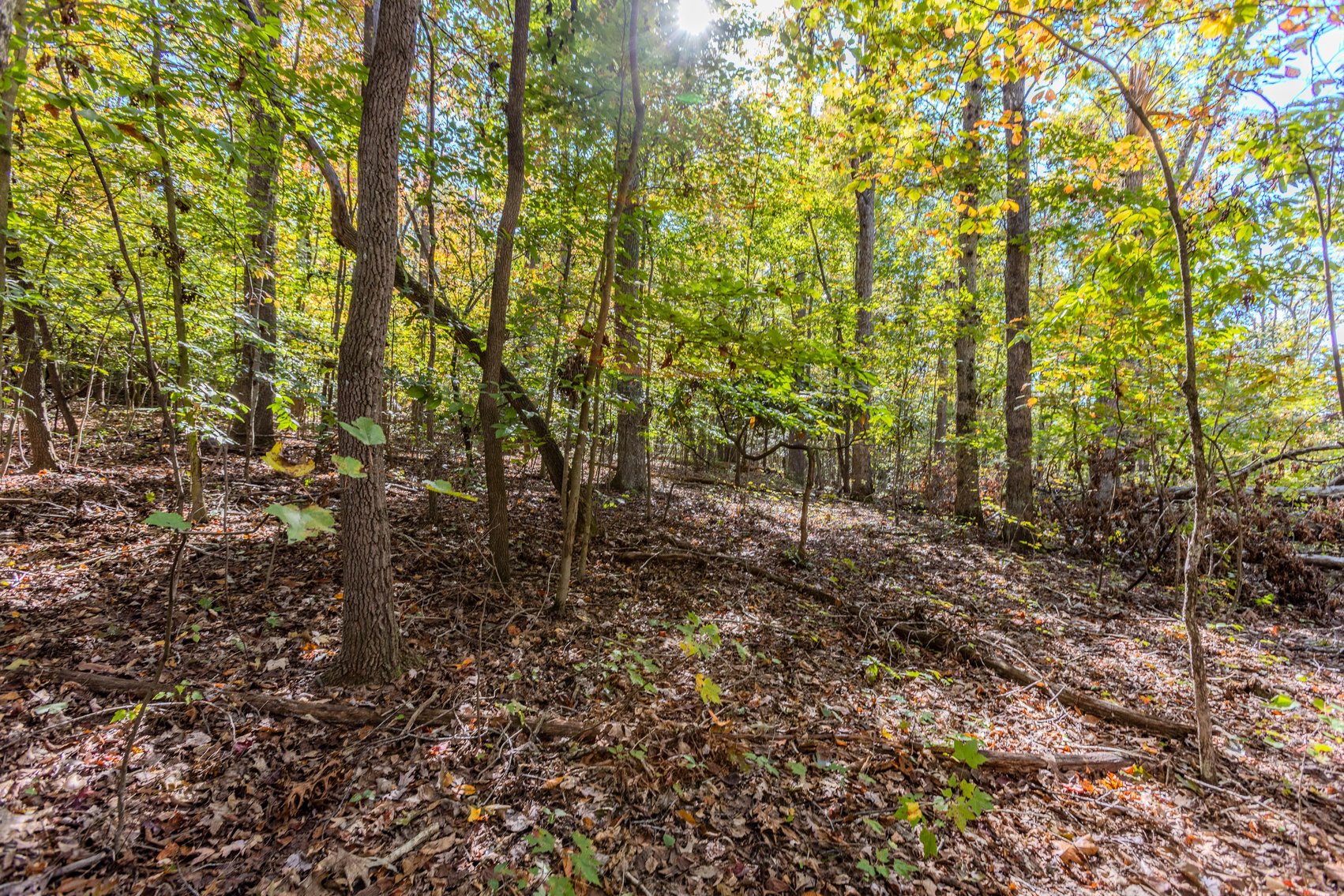 Image for SOLD $93,500 - 13 Acres Adjacent to the New River Gorge