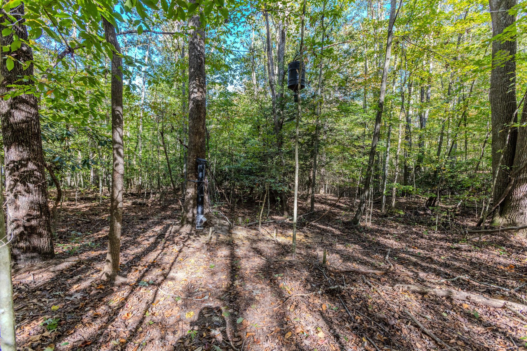 Image for SOLD $93,500 - 13 Acres Adjacent to the New River Gorge