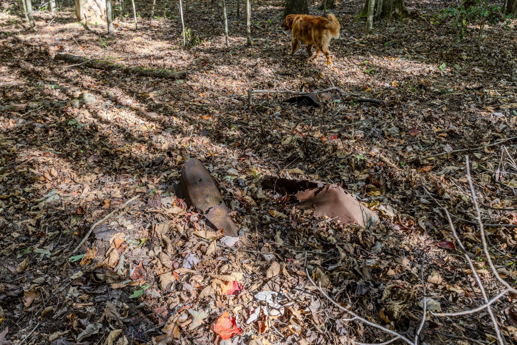 Image for SOLD $93,500 - 13 Acres Adjacent to the New River Gorge