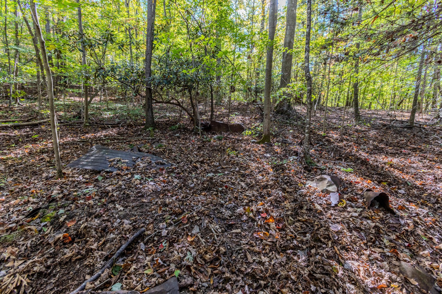 Image for SOLD $93,500 - 13 Acres Adjacent to the New River Gorge