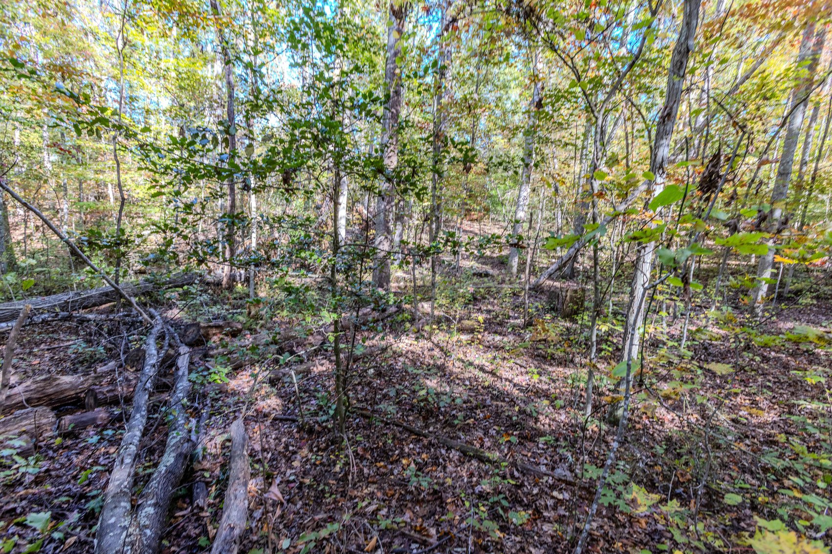 Image for SOLD $93,500 - 13 Acres Adjacent to the New River Gorge