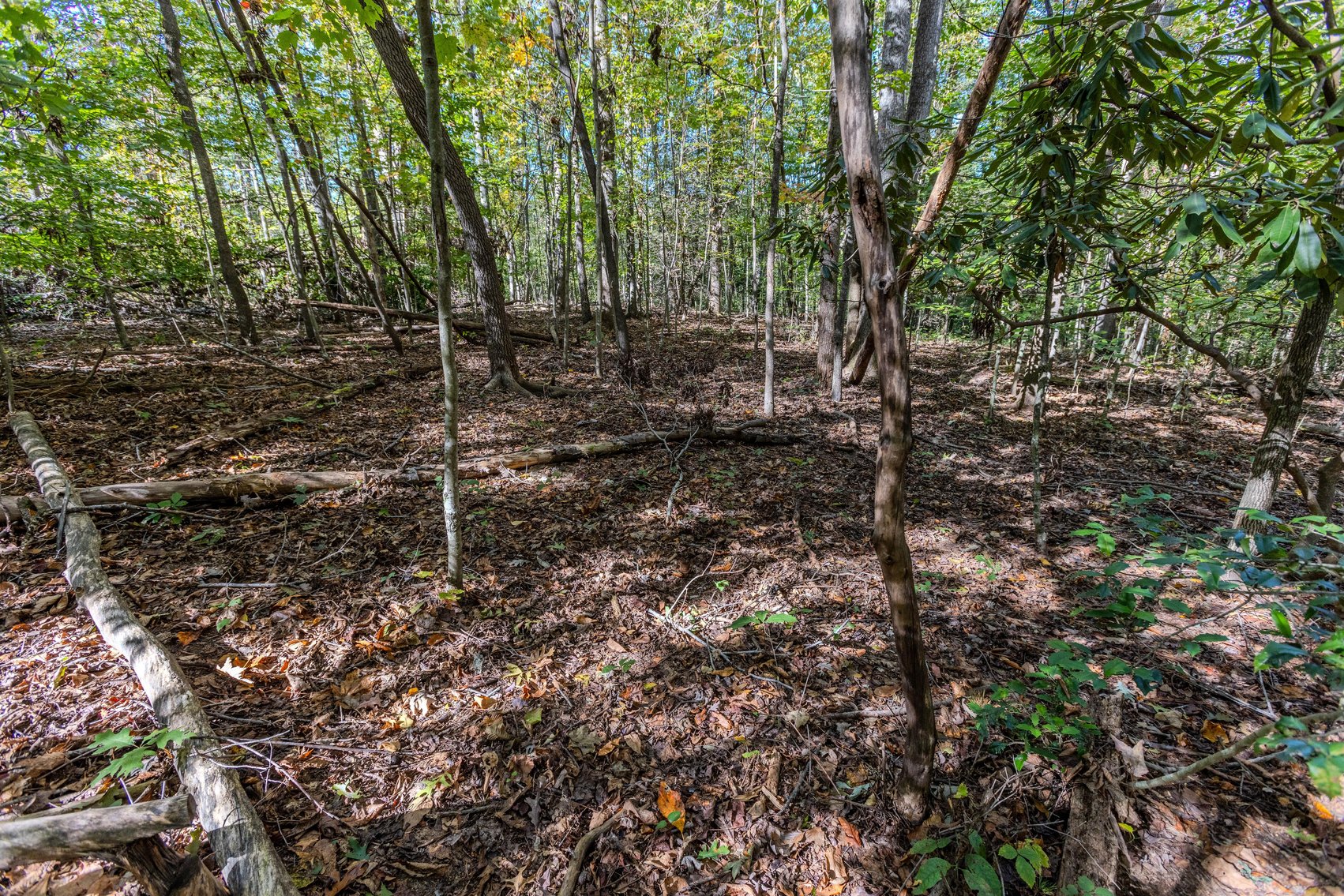 Image for SOLD $93,500 - 13 Acres Adjacent to the New River Gorge