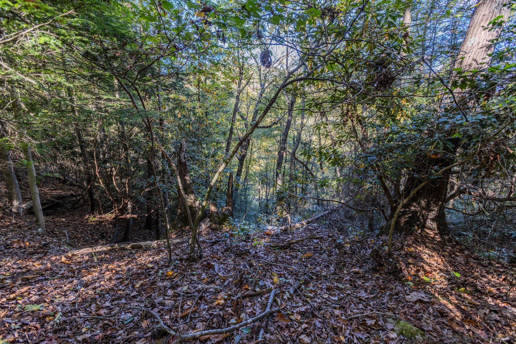 Image for SOLD $93,500 - 13 Acres Adjacent to the New River Gorge
